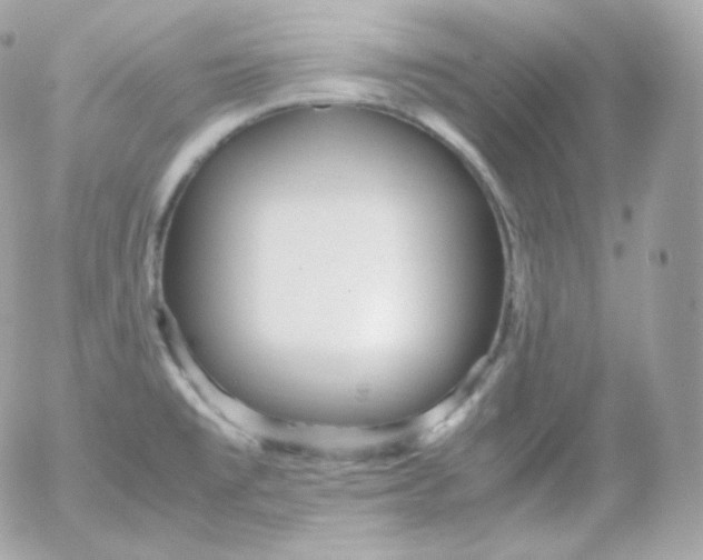 X0000052651477200507221829