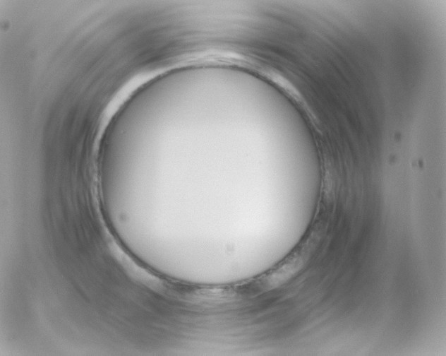 X0000052651478200507221829