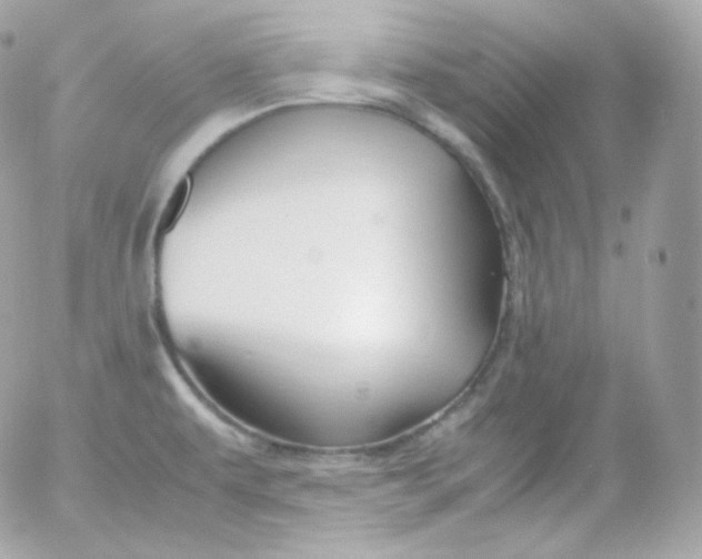 X0000052651479200507221829