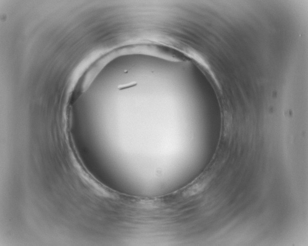 X0000052651480200507221829