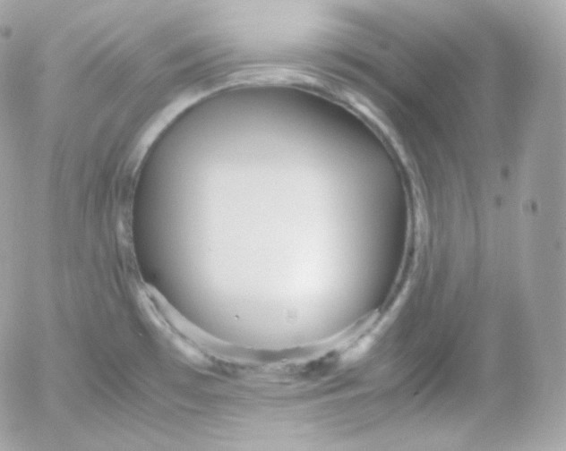 X0000052651481200507221829