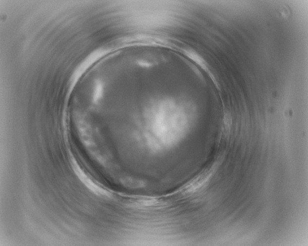 X0000052651482200507221829