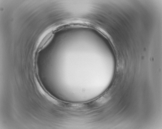 X0000052651483200507221829