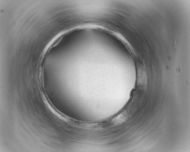 X0000052651484200507221829