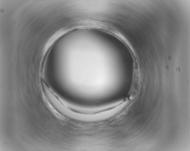 X0000052651485200507221829