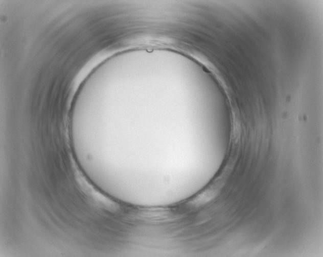 X0000052651486200507221829