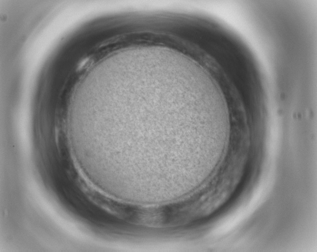 X0000052651487200507221829