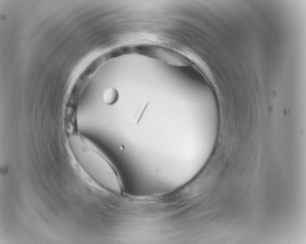 X0000052651488200507221829