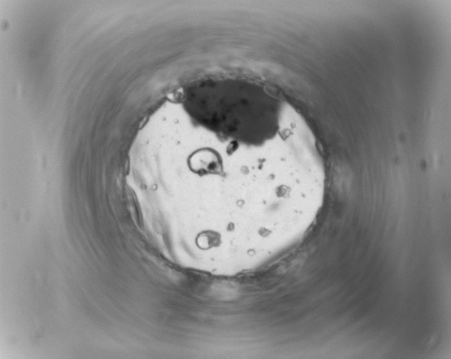 X0000052651489200507221828