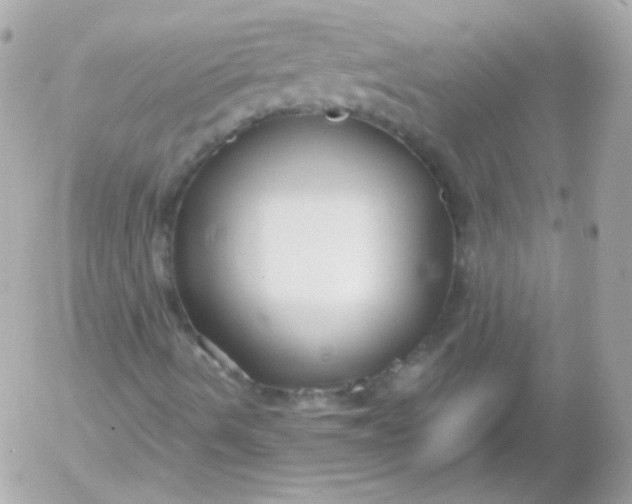 X0000052651490200507221828