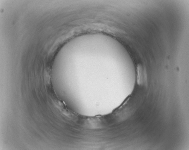 X0000052651491200507221828