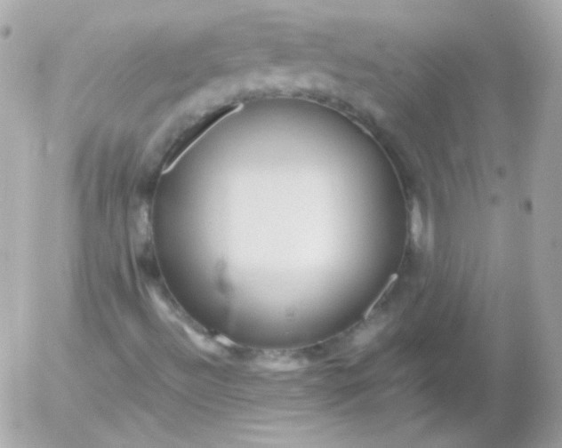 X0000052651492200507221828