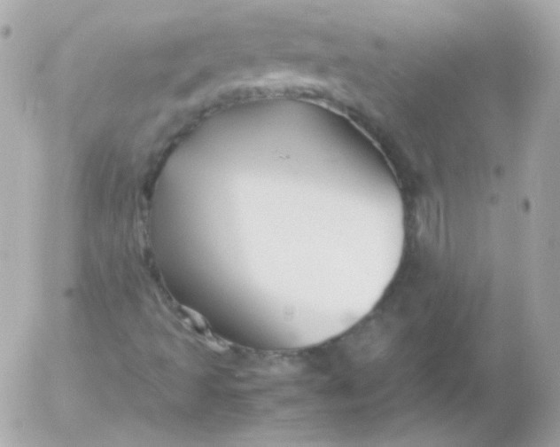 X0000052651493200507221828