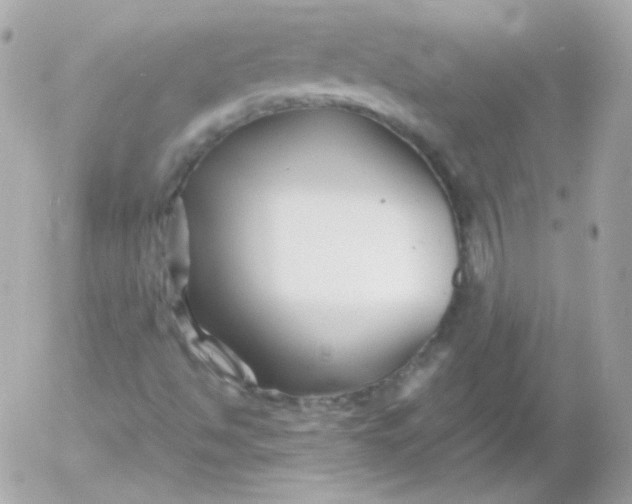 X0000052651494200507221828