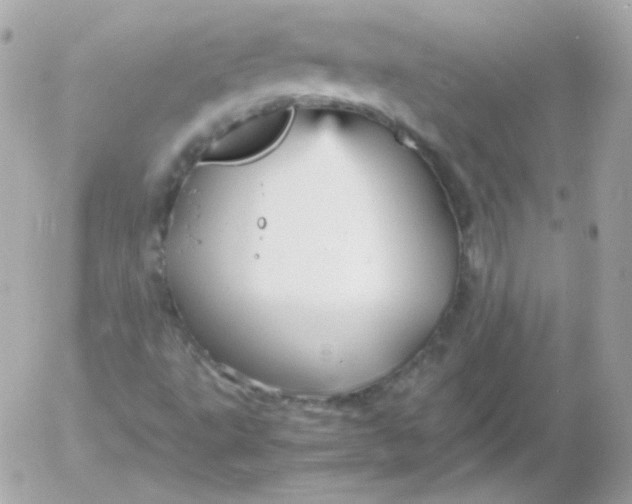 X0000052651495200507221828