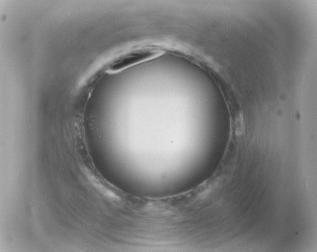 X0000052651496200507221828