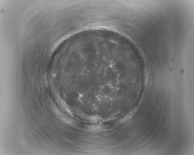 X0000052651497200507221828