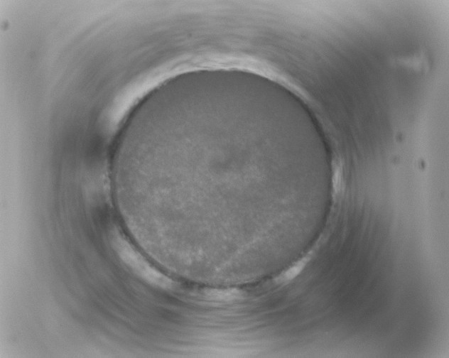 X0000052651498200507221828