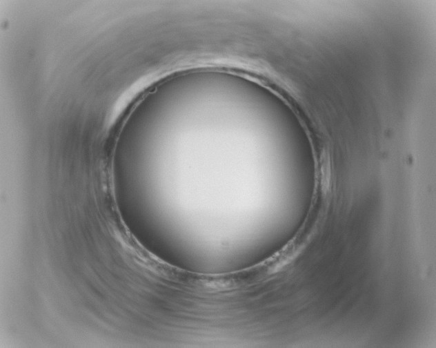 X0000052651501200507221828