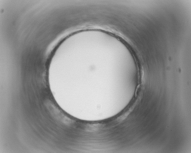 X0000052651502200507221828