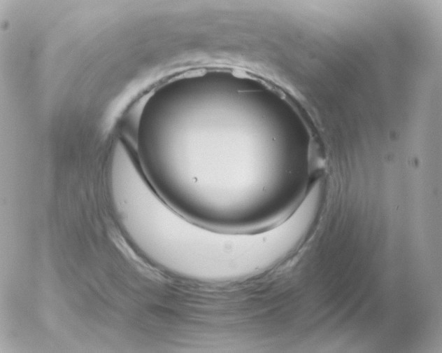 X0000052651503200507221828