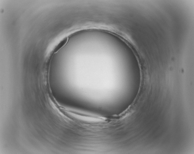 X0000052651504200507221828