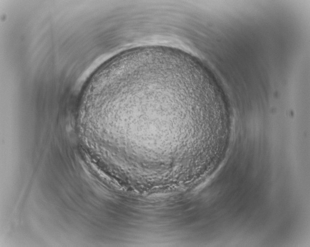 X0000052651505200507221828