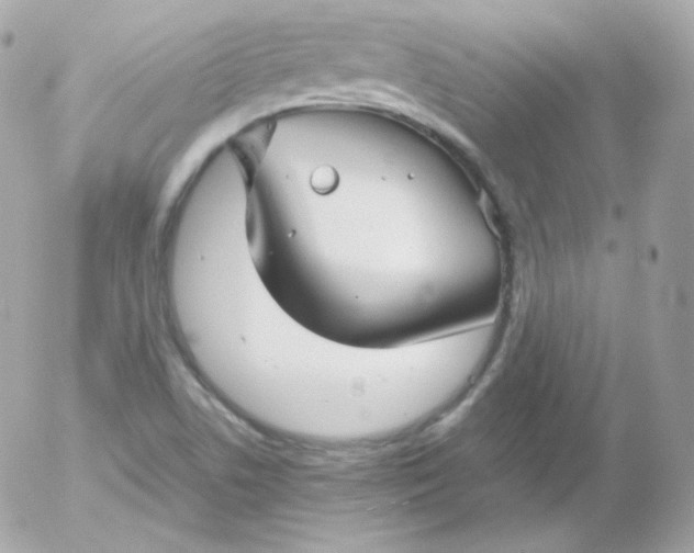 X0000052651506200507221828