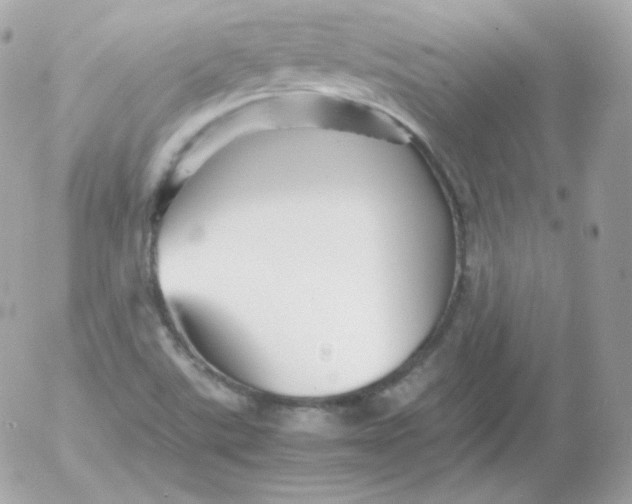 X0000052651507200507221828