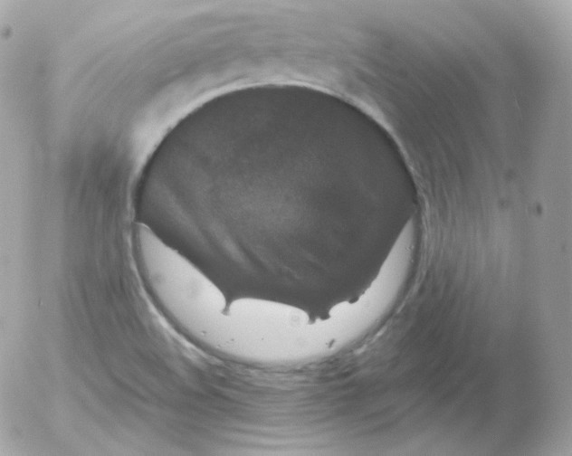 X0000052651508200507221828