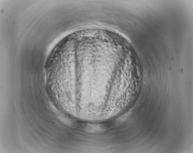 X0000052651509200507221828