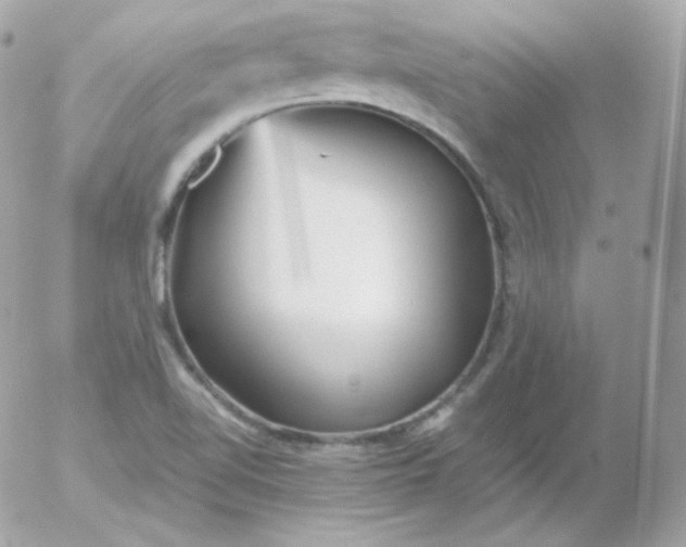 X0000052651510200507221828