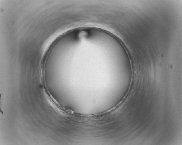 X0000052651511200507221828