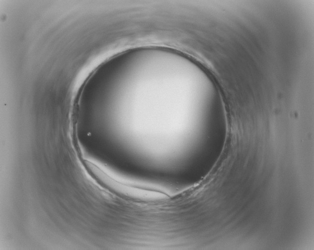 X0000052651512200507221828