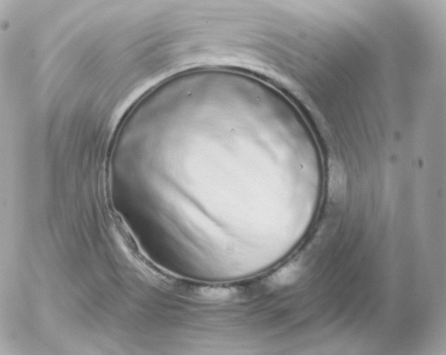 X0000052651513200507221828