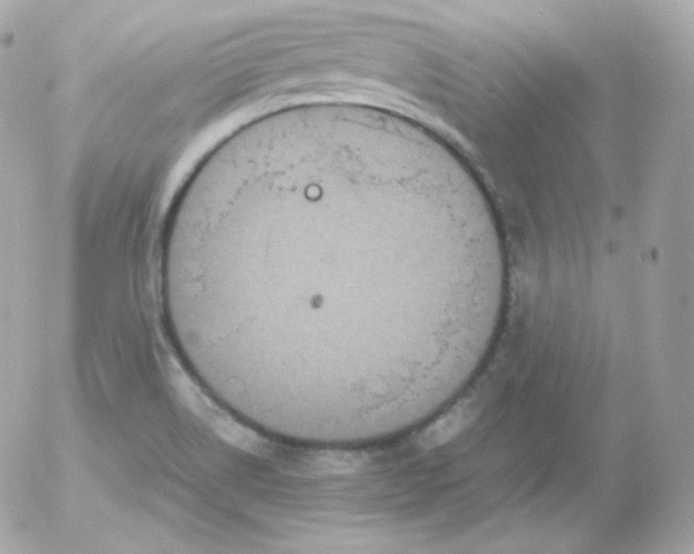 X0000052651514200507221828