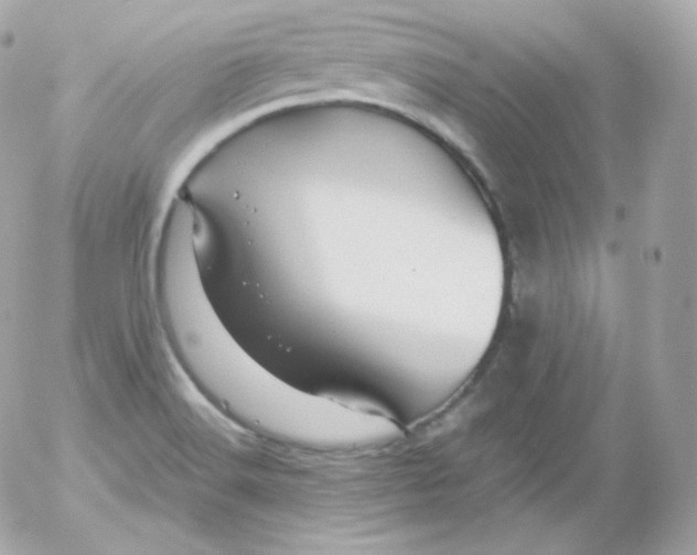 X0000052651516200507221828