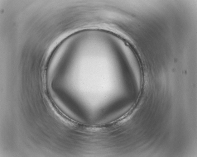 X0000052651517200507221828