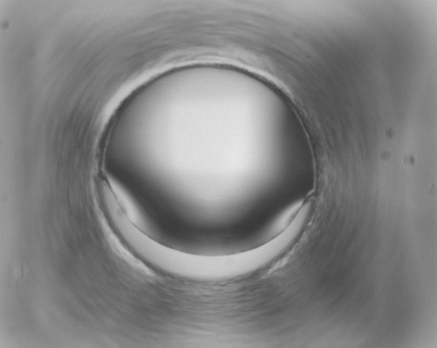 X0000052651518200507221828