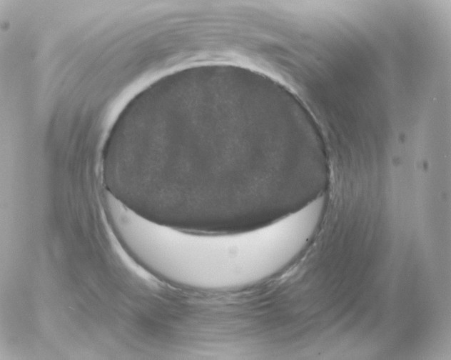 X0000052651519200507221828