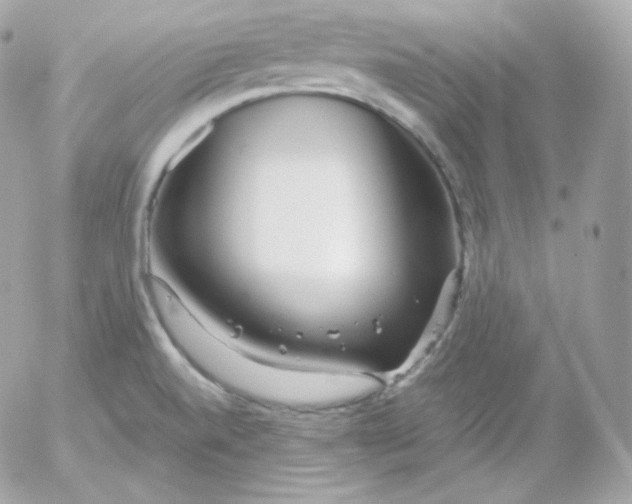 X0000052651520200507221828