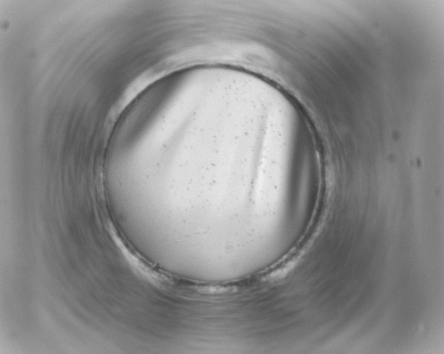 X0000052651521200507221828