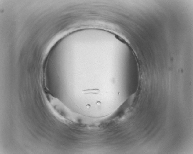 X0000052651523200507221828