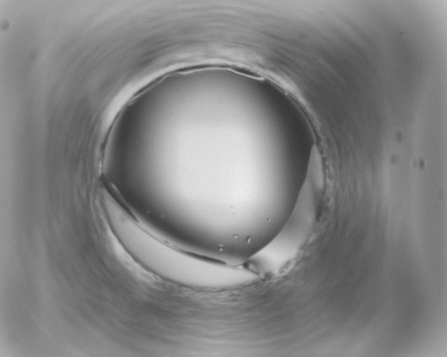 X0000052651524200507221828