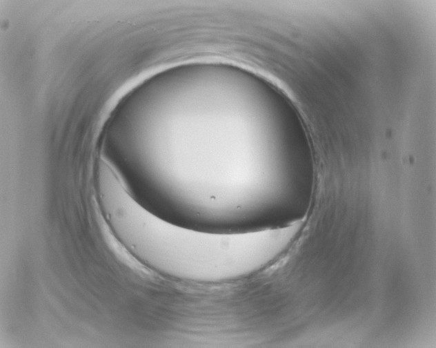 X0000052651526200507221828