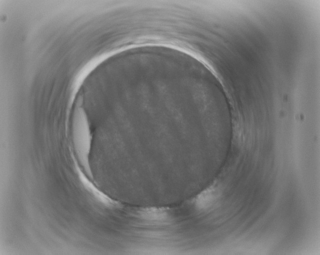 X0000052651527200507221828