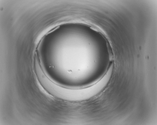 X0000052651528200507221828