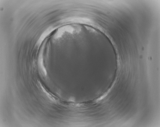 X0000052651529200507221828