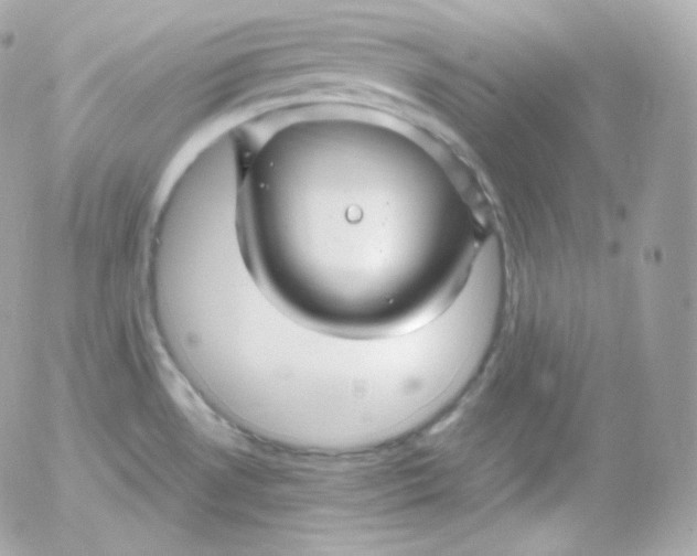 X0000052651530200507221828