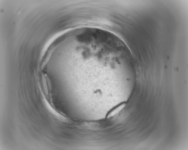 X0000052651531200507221828